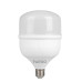 Светодиодная лампа VARGO 40W E27 6500К 4000лм (111896) Светодиодная лампа VARGO 40W E27 6500К 4000лм (111896)